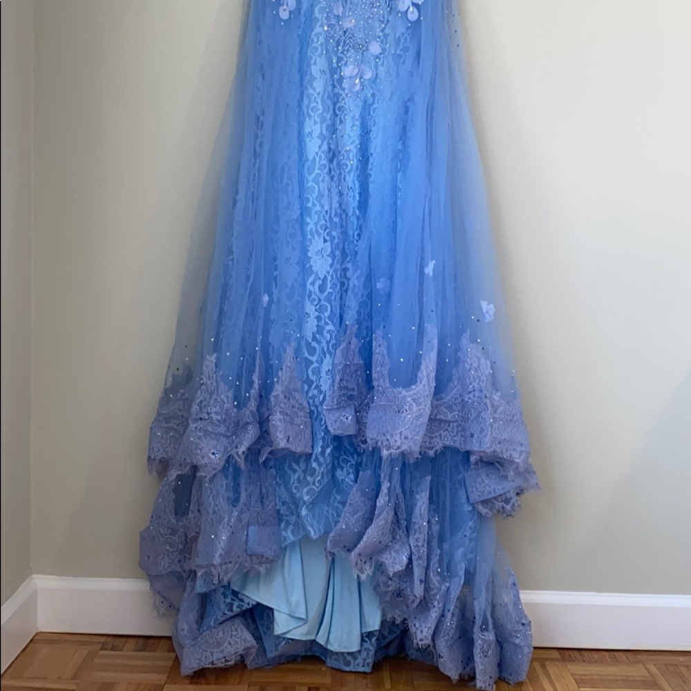 Royal Dream Women’s Wedding And Prom  Net Dress - Picture 4 of 8